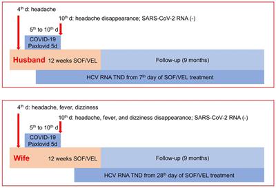 Curing of chronic hepatitis C combined with coronavirus disease 2019 in a couple over 85 years old: a case series study